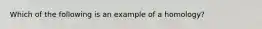 Which of the following is an example of a homology?