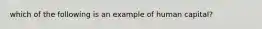 which of the following is an example of human capital?