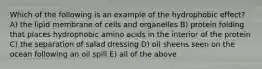 Which of the following is an example of the hydrophobic effect? A) the lipid membrane of cells and organelles B) protein folding that places hydrophobic amino acids in the interior of the protein C) the separation of salad dressing D) oil sheens seen on the ocean following an oil spill E) all of the above