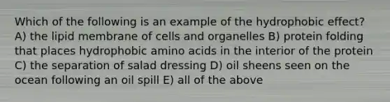 Which of the following is an example of the hydrophobic effect? A) the lipid membrane of cells and organelles B) protein folding that places hydrophobic amino acids in the interior of the protein C) the separation of salad dressing D) oil sheens seen on the ocean following an oil spill E) all of the above