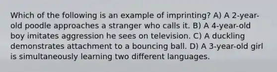 Which of the following is an example of imprinting? A) A 2-year-old poodle approaches a stranger who calls it. B) A 4-year-old boy imitates aggression he sees on television. C) A duckling demonstrates attachment to a bouncing ball. D) A 3-year-old girl is simultaneously learning two different languages.