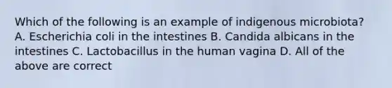 Which of the following is an example of indigenous microbiota? A. Escherichia coli in the intestines B. Candida albicans in the intestines C. Lactobacillus in the human vagina D. All of the above are correct