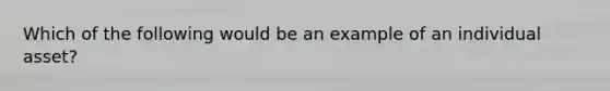 Which of the following would be an example of an individual asset?