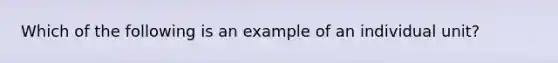 Which of the following is an example of an individual unit?