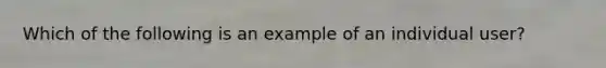 Which of the following is an example of an individual user?