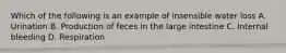 Which of the following is an example of insensible water loss A. Urination B. Production of feces in the large intestine C. Internal bleeding D. Respiration