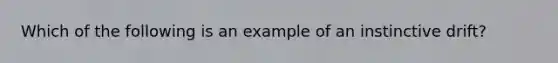 Which of the following is an example of an instinctive drift?