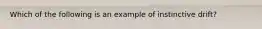 Which of the following is an example of instinctive drift?