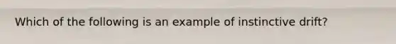 Which of the following is an example of instinctive drift?