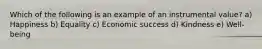 Which of the following is an example of an instrumental value? a) Happiness b) Equality c) Economic success d) Kindness e) Well-being