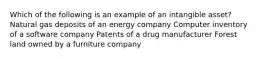 Which of the following is an example of an intangible asset? Natural gas deposits of an energy company Computer inventory of a software company Patents of a drug manufacturer Forest land owned by a furniture company