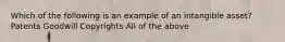 Which of the following is an example of an intangible asset? Patents Goodwill Copyrights All of the above