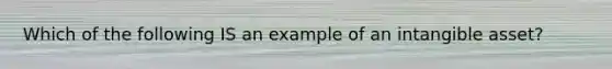 Which of the following IS an example of an intangible asset?