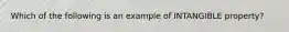 Which of the following is an example of INTANGIBLE property?