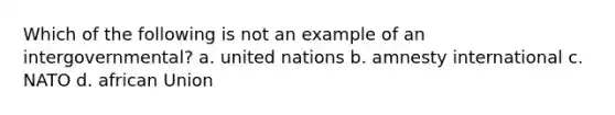 Which of the following is not an example of an intergovernmental? a. united nations b. amnesty international c. NATO d. african Union