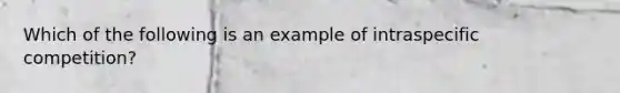 Which of the following is an example of intraspecific competition?