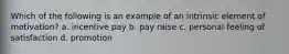 Which of the following is an example of an intrinsic element of motivation? a. incentive pay b. pay raise c. personal feeling of satisfaction d. promotion