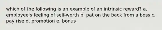 which of the following is an example of an intrinsic reward? a. employee's feeling of self-worth b. pat on the back from a boss c. pay rise d. promotion e. bonus