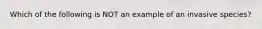Which of the following is NOT an example of an invasive species?