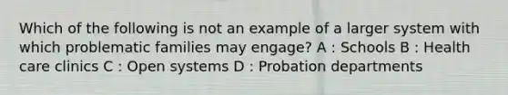 Which of the following is not an example of a larger system with which problematic families may engage? A : Schools B : Health care clinics C : Open systems D : Probation departments