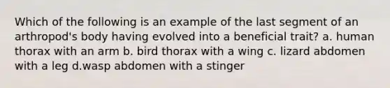 Which of the following is an example of the last segment of an arthropod's body having evolved into a beneficial trait? a. human thorax with an arm b. bird thorax with a wing c. lizard abdomen with a leg d.wasp abdomen with a stinger