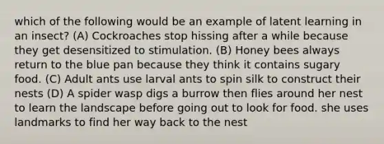 which of the following would be an example of latent learning in an insect? (A) Cockroaches stop hissing after a while because they get desensitized to stimulation. (B) Honey bees always return to the blue pan because they think it contains sugary food. (C) Adult ants use larval ants to spin silk to construct their nests (D) A spider wasp digs a burrow then flies around her nest to learn the landscape before going out to look for food. she uses landmarks to find her way back to the nest