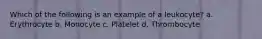 Which of the following is an example of a leukocyte? a. Erythrocyte b. Monocyte c. Platelet d. Thrombocyte