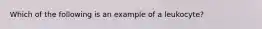 Which of the following is an example of a leukocyte?