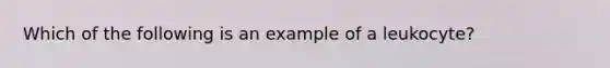 Which of the following is an example of a leukocyte?