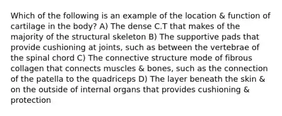 Which of the following is an example of the location & function of cartilage in the body? A) The dense C.T that makes of the majority of the structural skeleton B) The supportive pads that provide cushioning at joints, such as between the vertebrae of the spinal chord C) The connective structure mode of fibrous collagen that connects muscles & bones, such as the connection of the patella to the quadriceps D) The layer beneath the skin & on the outside of internal organs that provides cushioning & protection