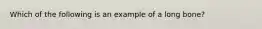 Which of the following is an example of a long bone?