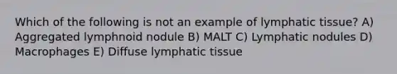 Which of the following is not an example of lymphatic tissue? A) Aggregated lymphnoid nodule B) MALT C) Lymphatic nodules D) Macrophages E) Diffuse lymphatic tissue