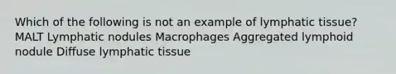 Which of the following is not an example of lymphatic tissue? MALT Lymphatic nodules Macrophages Aggregated lymphoid nodule Diffuse lymphatic tissue