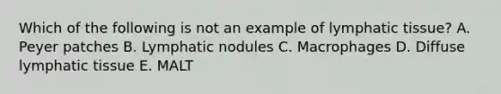 Which of the following is not an example of lymphatic tissue? A. Peyer patches B. Lymphatic nodules C. Macrophages D. Diffuse lymphatic tissue E. MALT