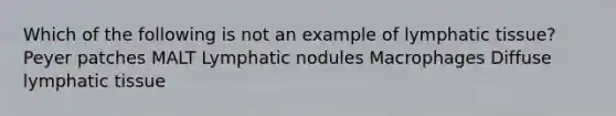 Which of the following is not an example of lymphatic tissue? Peyer patches MALT Lymphatic nodules Macrophages Diffuse lymphatic tissue