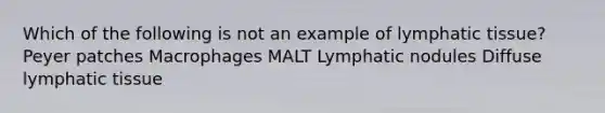 Which of the following is not an example of lymphatic tissue? Peyer patches Macrophages MALT Lymphatic nodules Diffuse lymphatic tissue