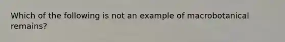 Which of the following is not an example of macrobotanical remains?