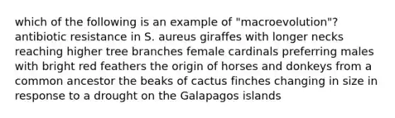 which of the following is an example of "macroevolution"? antibiotic resistance in S. aureus giraffes with longer necks reaching higher tree branches female cardinals preferring males with bright red feathers the origin of horses and donkeys from a common ancestor the beaks of cactus finches changing in size in response to a drought on the Galapagos islands