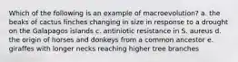 Which of the following is an example of macroevolution? a. the beaks of cactus finches changing in size in response to a drought on the Galapagos islands c. antiniotic resistance in S. aureus d. the origin of horses and donkeys from a common ancestor e. giraffes with longer necks reaching higher tree branches