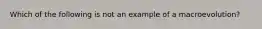 Which of the following is not an example of a macroevolution?