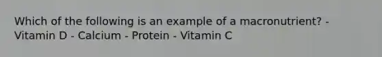 Which of the following is an example of a macronutrient? - Vitamin D - Calcium - Protein - Vitamin C