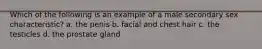 Which of the following is an example of a male secondary sex characteristic? a. the penis b. facial and chest hair c. the testicles d. the prostate gland