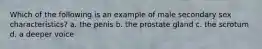 Which of the following is an example of male secondary sex characteristics? a. the penis b. the prostate gland c. the scrotum d. a deeper voice