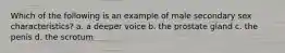 Which of the following is an example of male secondary sex characteristics? a. a deeper voice b. the prostate gland c. the penis d. the scrotum