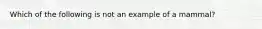 Which of the following is not an example of a mammal?