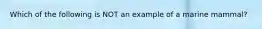 Which of the following is NOT an example of a marine mammal?