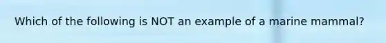 Which of the following is NOT an example of a marine mammal?