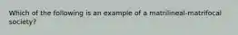 Which of the following is an example of a matrilineal-matrifocal society?