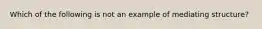 Which of the following is not an example of mediating structure?