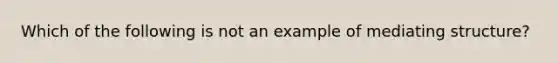 Which of the following is not an example of mediating structure?